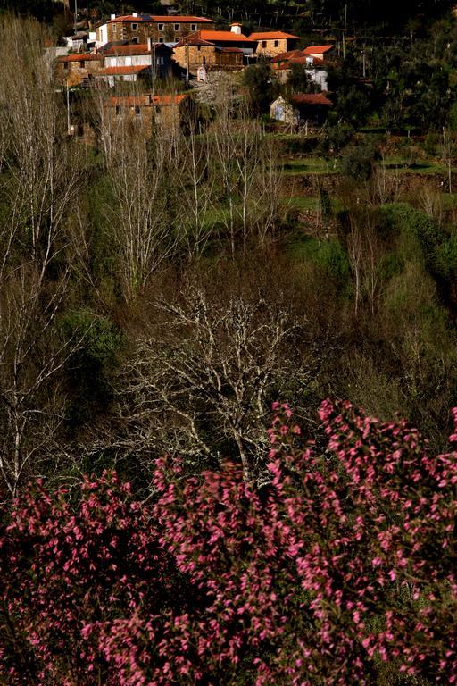 Quinta De Gildinho Villa Exteriör bild